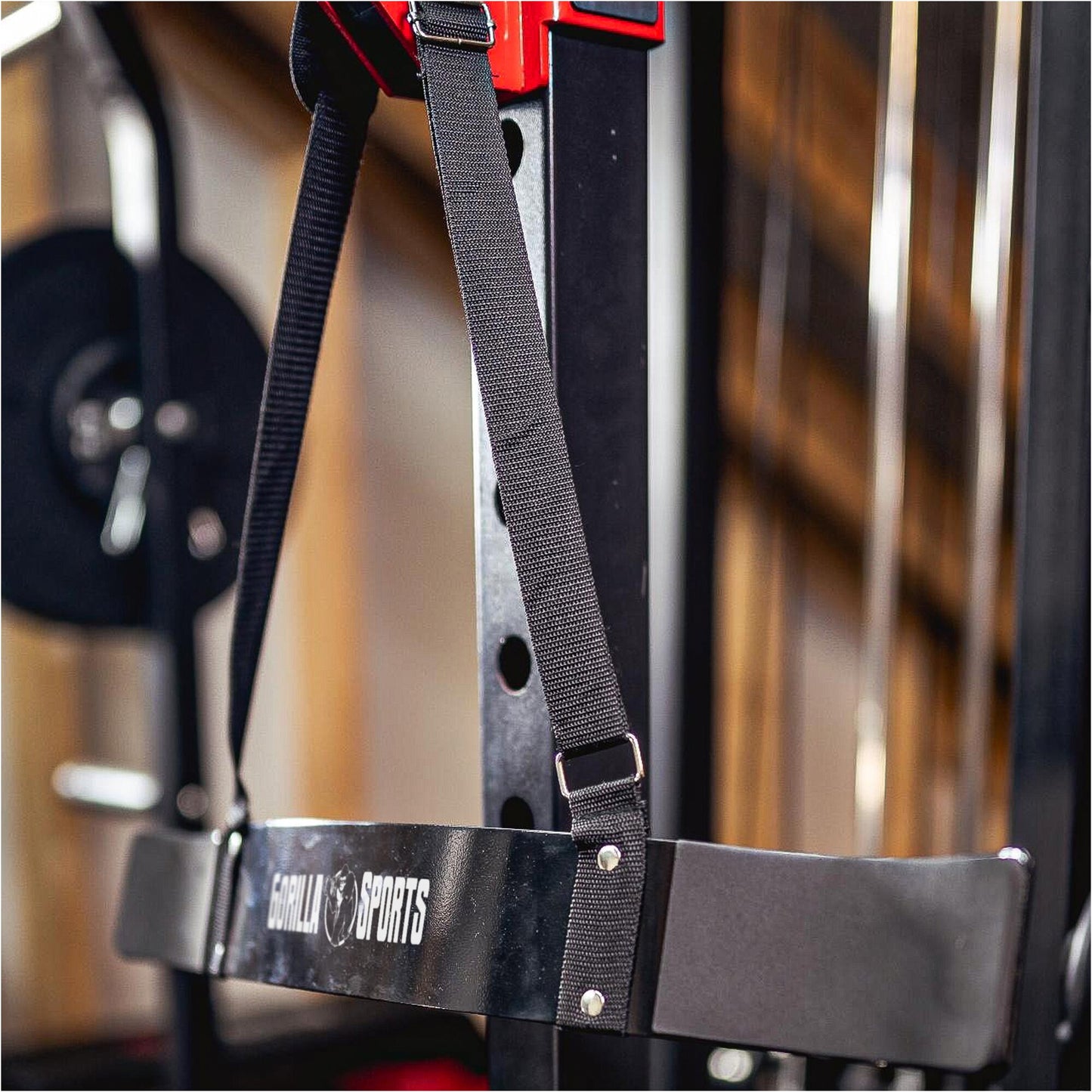 Pojas za izolovanje bicepsa