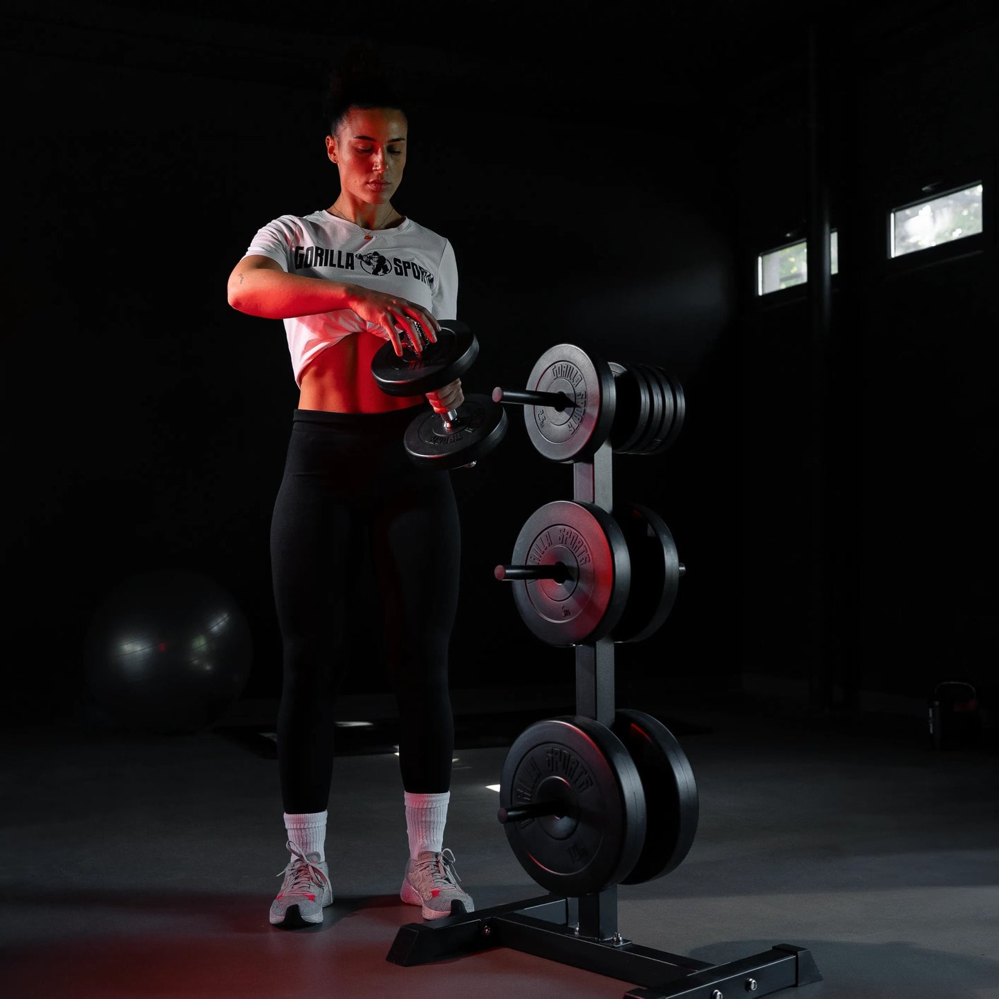 Stalak za diskove sa 3 šipke 30/31 mm