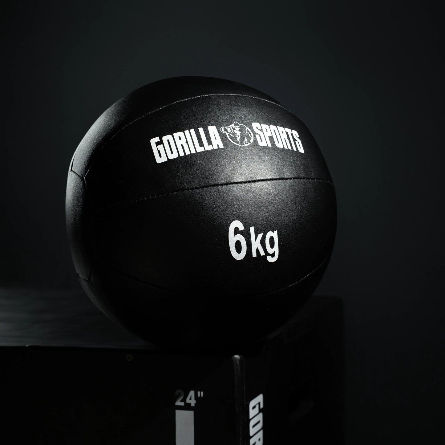 Medicinska lopta od kože 5 - 10 kg