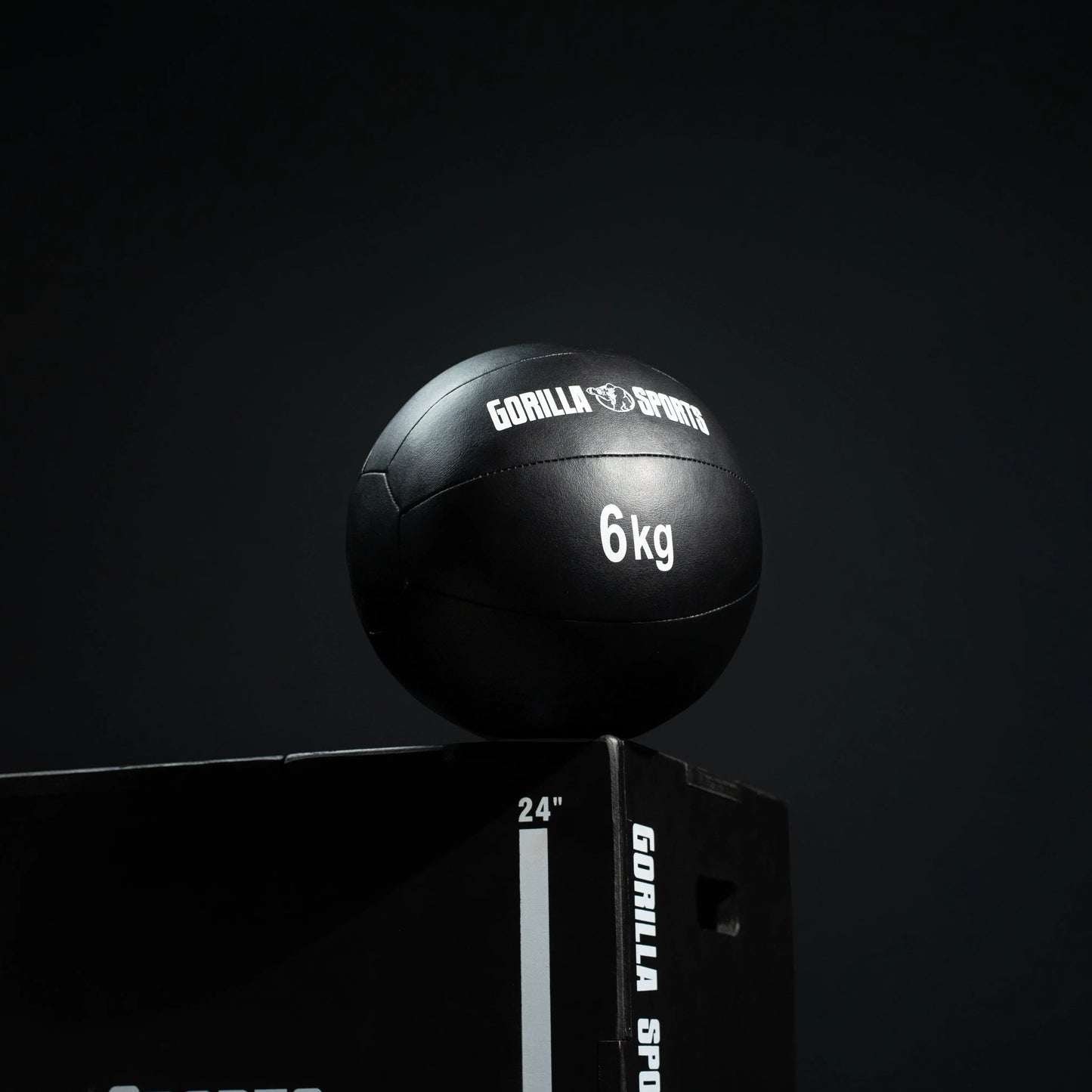 Medicinska lopta od kože 5 - 10 kg