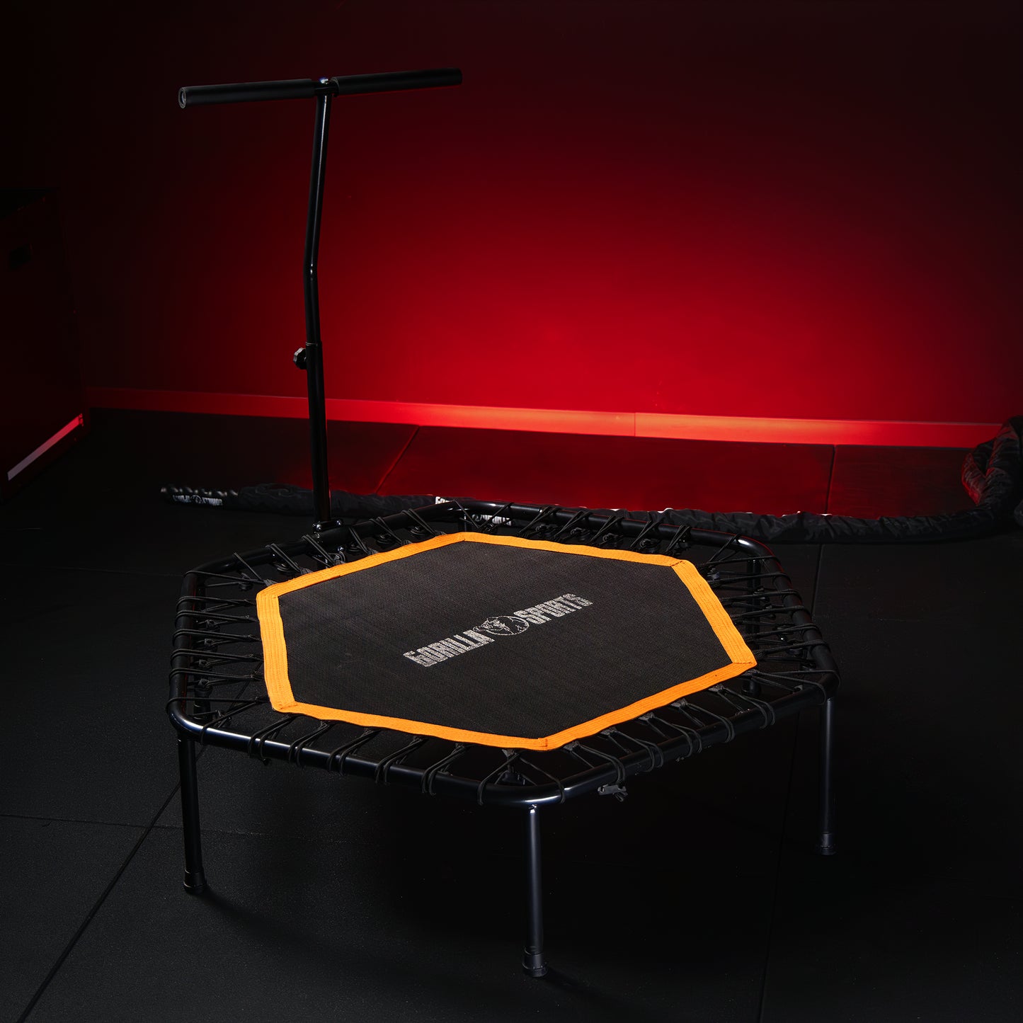 Fitnes Trambolina